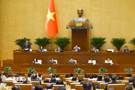Phó Chủ tịch Quốc hội Vũ Hồng Thanh phát biểu. (Ảnh: Doãn Tấn/TTXVN)