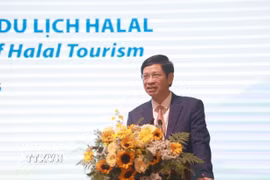 Ông Hồ An Phong, Thứ trưởng Bộ Văn hóa, Thể thao và Du lịch phát biểu tại hội nghị. (Ảnh: Xuân Triệu/TTXVN)