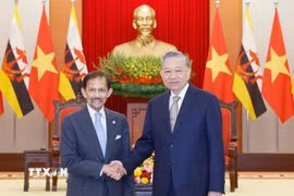 Tổng Bí thư Tô Lâm tiếp Quốc vương Brunei Haji Hassanal Bolkiah. (Ảnh: Thống Nhất/TTXVN)