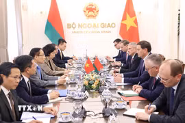 Bộ trưởng Ngoại giao Lê Hoài Trung hội đàm với Bộ trưởng Ngoại giao Belarus Maxim Ryzhenkov. (Ảnh: An Đăng/TTXVN)