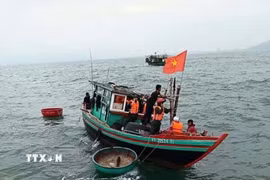 Lực lượng đồn biên phòng cùng chính quyền địa phương tìm kiếm ngư dân mất tích. (Ảnh: Công Tường/TTXVN)