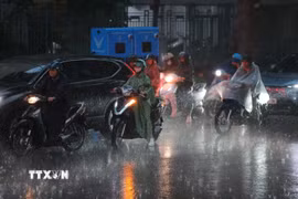Mưa giông diện rộng tại một số địa phương giúp giải toả bầu không khí oi nóng. (Ảnh: Minh Quyết/TTXVN)