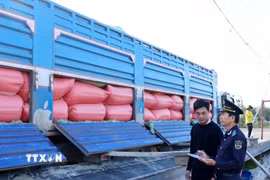 Công chức Hải quan kiểm hóa hàng nhập khẩu qua cửa khẩu quốc tế Thường Phước, xã Thường Phước, tỉnh Đồng Tháp. (Ảnh: Phạm Hậu/TTXVN)
