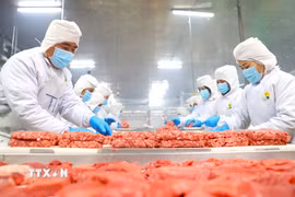 Thịt bò của Công ty Trách nhiệm hữu hạn Pacow International được đánh giá cao tại thị trường Halal nhờ đáp ứng nghiêm ngặt tiêu chuẩn về vệ sinh, quy trình giết mổ và sự minh bạch trong chuỗi cung ứng. (Ảnh: Minh Phú/TTXVN)