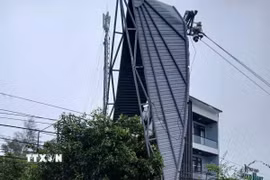 (Ảnh minh họa. Mai Trang/TTXVN)