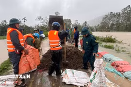 Ôtô chở đá bây, cát cho vào bao tải gia cố đê sông Thị Long thuộc phường Ngọc Sơn (Thanh Hóa). (Ảnh: Việt Hoàng/TTXVN)