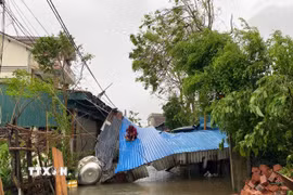 Mái tôn của nhiều hộ dân tại xã Nghi Xuân bị bão làm đổ sập. (Ảnh: Hữu Quyết/TTXVN)