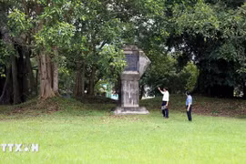 Cây đa Tân Trào, nơi Đại tướng Võ Nguyên Giáp đọc bản Quân lệnh số 1, làm lễ xuất quân tiến về giải phóng Thủ đô Hà Nội. (Ảnh: Quang Cường/TTXVN)