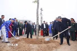 Tổng Bí thư Tô Lâm và đoàn công tác Trung ương dự Lễ phát động “Tết trồng cây đời đời nhớ ơn Bác Hồ” Xuân Ất Tỵ 2025. (Ảnh: Thống Nhất/TTXVN)