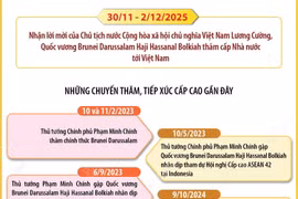 Quan hệ Đối tác toàn diện Việt Nam-Brunei