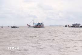 Là một trong bốn ngư trường trọng điểm của cả nước, Cà Mau xác định công tác chống khai thác IUU là nhiệm vụ cấp bách, có ý nghĩa lâu dài đối với phát triển bền vững ngành thủy sản. (Ảnh: Huỳnh Anh/TTXVN)