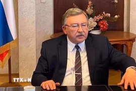 Đại diện thường trực của Nga tại các tổ chức quốc tế ở Vienna (Áo) Mikhail Ulyanov. (Ảnh: IRNA/TTXVN)