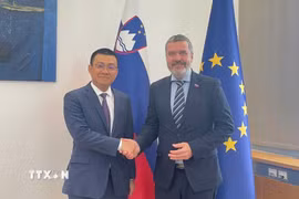Đại sứ Việt Nam tại Áo kiêm nhiệm Slovenia Vũ Lê Thái Hoàng chào xã giao và làm việc với Bộ trưởng Ngoại giao Slovenia Tone Kajzer. (Ảnh: TTXVN phát)