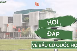 (Ảnh: Vietnam+)