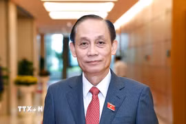 Bí thư Trung ương Đảng, Bộ trưởng Bộ Ngoại giao Lê Hoài Trung. (Ảnh: Doãn Tấn/TTXVN)