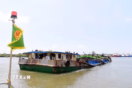 Dẫn giải tàu LA-04509 về cảng của Hải đoàn ở phường Phước Thắng (Thành phố Hồ Chí Minh) để tiếp tục làm rõ. (Ảnh: TTXVN phát)