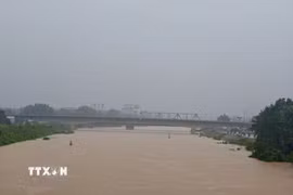 Mưa lớn khiến mực nước trên sông Thương tăng cao. (Ảnh: Thanh Thương/TTXVN)