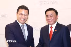 Thường trực Ban Bí thư Trần Cẩm Tú hội kiến Chủ tịch Đảng Hành động Nhân dân Singapore, Bộ trưởng Bộ Giáo dục Singapore Desmond Lee. (Ảnh: Phương Hoa/TTXVN)