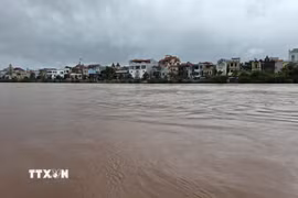 (Ảnh minh họa. Quang Duy/TTXVN)