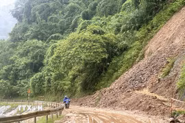 (Ảnh minh họa. Vũ Hoàng Giang/TTXVN)