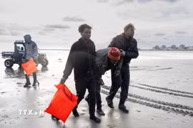 Người di cư trở lại bờ biển Gravelines, gần Dunkirk, miền Bắc Pháp, sau khi không vượt qua được eo biển Manche. (Ảnh: AFP/TTXVN)