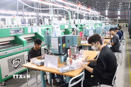 Công nhân thực hiện các công đoạn sản xuất trong dây chuyền công nghiệp, thể hiện năng lực sản xuất ngày càng được nâng cao của doanh nghiệp Tây Ninh. (Ảnh: Bùi Giang/TTXVN)