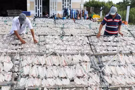 Làng cá khô Gia Thuận. (Ảnh: Báo Đồng Tháp)