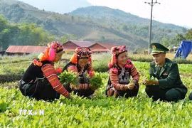 Cán bộ Đồn Biên phòng A Pa Chải (Điện Biên) giúp đỡ người dân phát triển kinh tế, xóa đói, giảm nghèo, góp phần xây dựng nông thôn mới, củng cố mối quan hệ đoàn kết, gắn bó quân dân. (Ảnh: Minh Đức/TTXVN)
