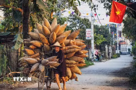 Hình ảnh chiếc xe đạp thồ cùng với những chiếc đó, những ngư cụ nông nghiệp rong ruổi khắp nơi từ lâu đã in sâu trong tâm trí nhiều người khi nhắc đến làng nghề đan đó Tân Hưng. (Ảnh: Khánh Hòa/TTXVN)