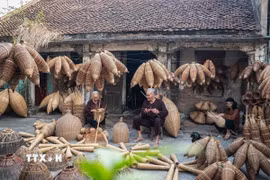 Hình ảnh cụ ông, cụ bà cùng đán đó, phát huy nghề truyền thống còn là hiện thân của di sản văn hoá đã có hàng nghìn năm của vùng Đồng bằng Bắc Bộ. (Ảnh: Khánh Hòa/TTXVN)
