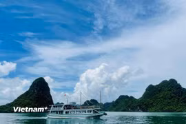 (Ảnh: Vietnam+)