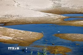 Mực nước sông Danube xuống thấp tại Rasova, Romania. (Ảnh: THX/TTXVN phát)