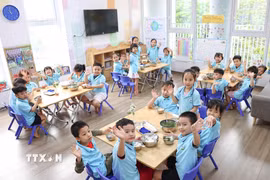 (Ảnh minh họa. Thanh Tùng/TTXVN)