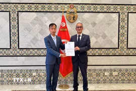 Đại sứ Nguyễn Nam Dương trình bản sao Thư ủy nhiệm lên Quốc Vụ Khanh Bộ Ngoại giao Mohamed Ben Ayed. (Ảnh: Đại sứ quán Việt Nam tại Ai Cập/TTXVN phát)