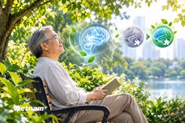 Người cao tuổi sống gần cây xanh có nguy cơ sa sút trí tuệ thấp hơn 