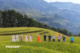 Du khách chụp ảnh tại ruộng bậc thang Mù Cang Chải. (Ảnh: Vietnam+)