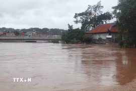 (Ảnh minh họa. Quang Duy/TTXVN)