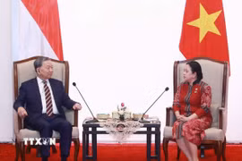 Tổng Bí thư Tô Lâm gặp Chủ tịch Hạ viện Indonesia Puan Maharani. (Ảnh: Thống Nhất/TTXVN)