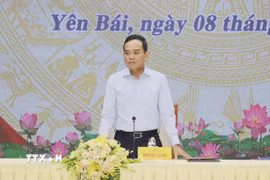 Bí thư Trung ương Đảng, Trưởng Ban Chính sách, chiến lược Trung ương Trần Lưu Quang kết luận tại buổi làm việc. (Ảnh: Tuấn Anh/TTXVN)