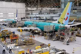 Máy bay Boeing 737 MAX được lắp ráp tại xưởng ở Renton, bang Washington, Mỹ. (Ảnh: REUTERS/TTXVN)
