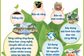 Ngày Quốc tế đa dạng sinh học: Hành động của địa phương cho hiệu quả toàn cầu