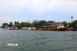 (Ảnh minh họa. Đỗ Trưởng/TTXVN)