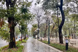 Công viên Hà Nội: Những dự án phá dỡ hàng rào tạo nên không gian mới