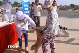 Nhân viên thú y tiêm phòng dại cho chó nuôi của người dân. (Ảnh: Hoàng Nhị/TTXVN)