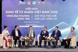 Các đại biểu thảo luận tại diễn đàn. (Ảnh: Thế Duyệt/TTXVN)