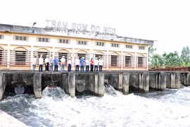Lãnh đạo Sở Nông nghiệp và Môi trường Hải Phòng kiểm tra việc sẵn sàng tiêu úng tại Trạm bơm Đò Neo, xã Đại Sơn. (Ảnh: Mạnh Tú/TTXVN)