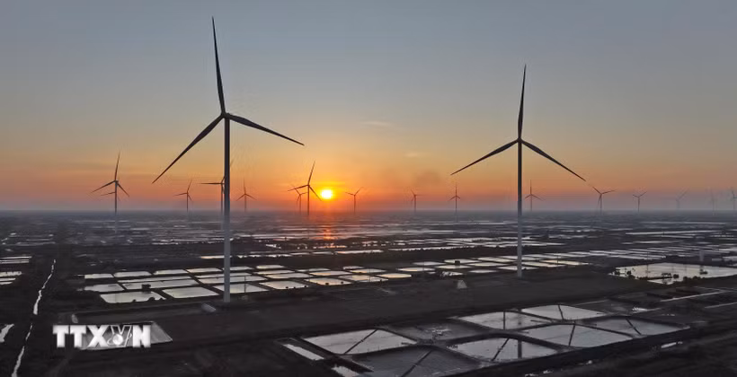 Cánh đồng điện gió của Nhà máy Điện gió Hòa Bình 5, có 26 trụ điện gió đang vận hành sản xuất, tại xã Vĩnh Hậu, tỉnh Cà Mau. (Ảnh: Vũ Sinh/TTXVN)