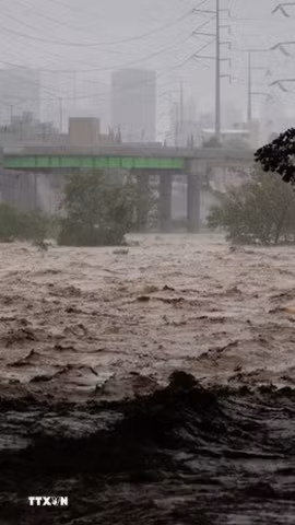Bão lớn ở Mexicon. (Nguồn: AFP/TTXVN)