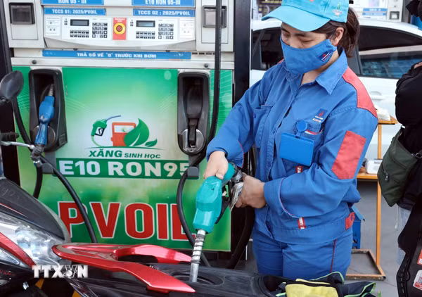 Kinh doanh xăng dầu: Chuyển từ quản lý giá trực tiếp sang giám sát bằng dữ liệu