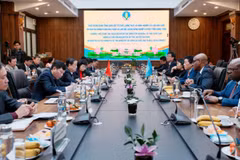 Bộ trưởng Bộ Nông nghiệp và Phát triển nông thôn Lê Minh Hoan làm việc với đoàn lãnh đạo cấp cao của FAO. (Ảnh: Bộ Nông nghiệp và Phát triển nông thôn)